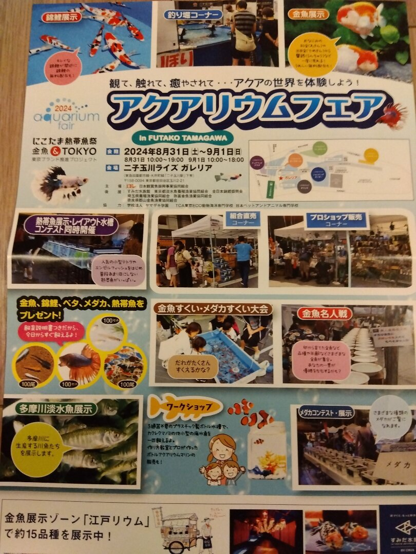 アクアリウムフェア