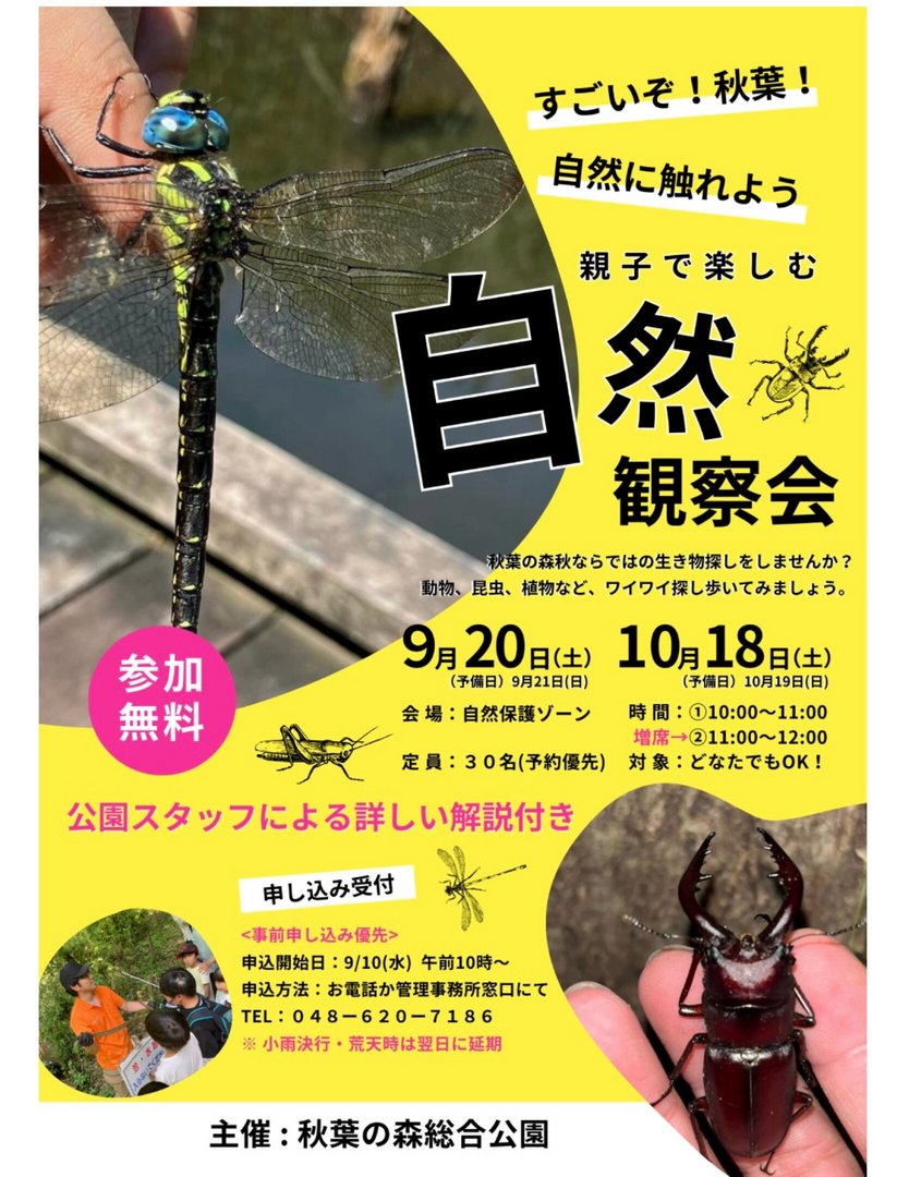 親子で楽しむ 自然 観察会