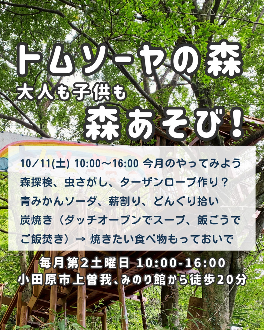 トムソーヤの森あそび