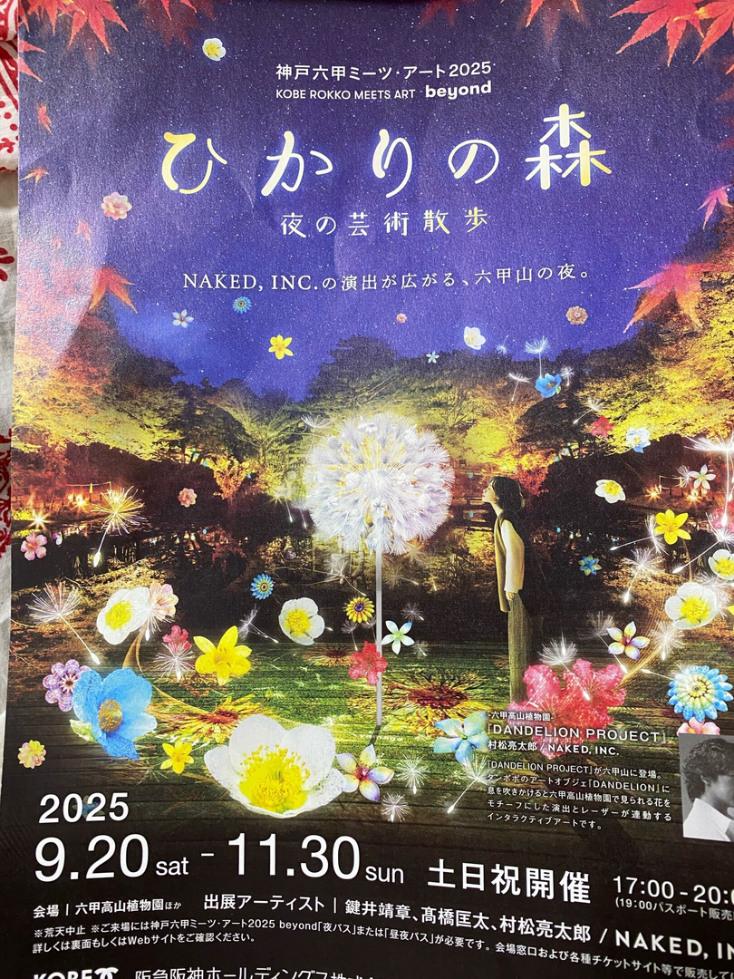 ひかりの森夜の芸術散歩
