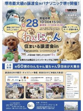 わんにゃん住まいる譲渡会 in パナソニックショウルーム 堺