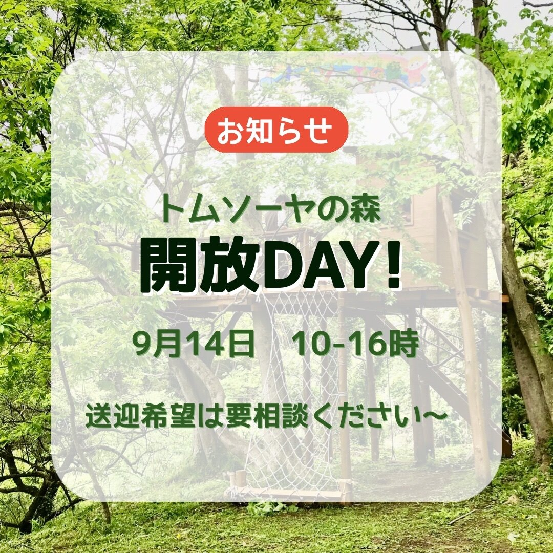 トムソーヤの森 開放DAY！