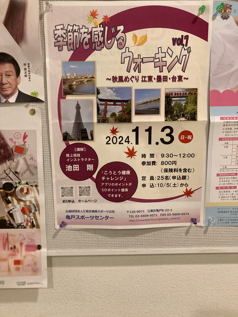 季節を感じるウォーキング🚶