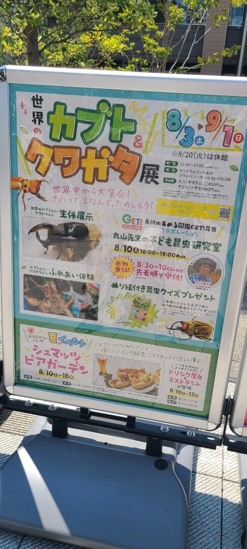 世界のカブトクワガタ展